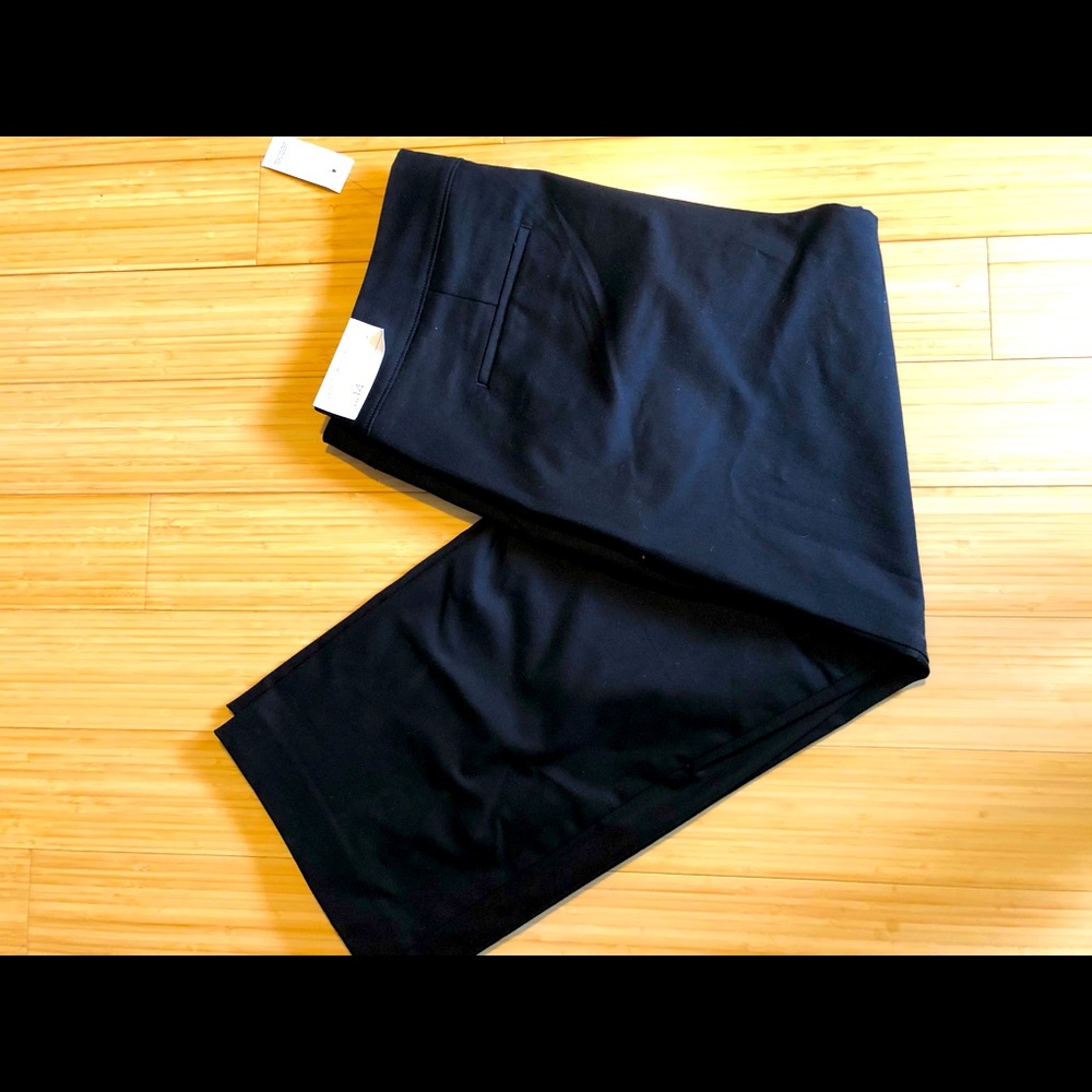 NWT loft dress pants. Size 14.